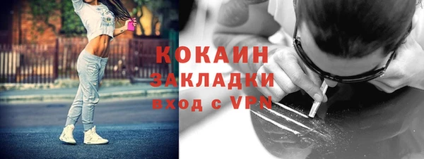 шишки Абинск