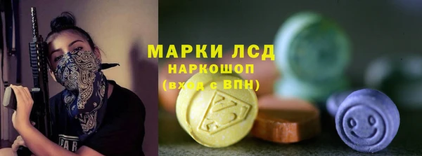 шишки Абинск