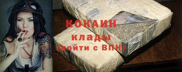 шишки Абинск