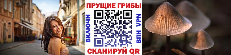 купить  цена  Смоленск  mega ТОР  Галлюциногенные грибы Psilocybe 